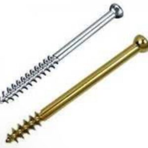Vis spongieuse en titane et inox